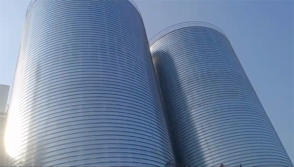 湾里2座混凝土高架卷板仓